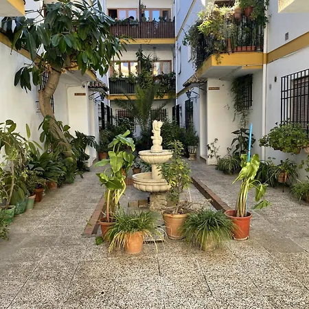 Centro - Patio Andaluz San Pablo - Parking Gratis- Wifi 公寓 *